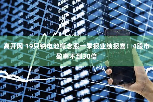 高开网 19只钠电池概念股一季报业绩报喜！4股市盈率不到30倍